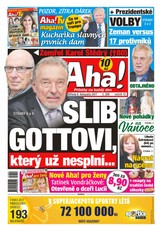 E-magazín AHA! - 8.11.2017 - CZECH NEWS CENTER a. s.