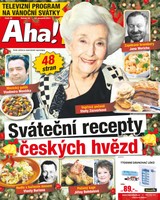E-magazín AHA! Tv - 14.12.2017 - CZECH NEWS CENTER a. s.