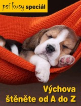 Časopisy pro volný čas s. r. o.