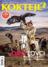 E-magazín Koktejl 11/2018 - Czech Press Group Koktejl