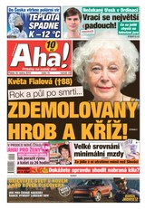 E-magazín AHA! - 18.1.2019 - CZECH NEWS CENTER a. s.