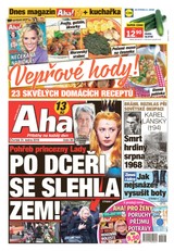 E-magazín AHA! - 31.1.2019 - CZECH NEWS CENTER a. s.