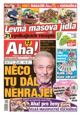 E-magazín AHA! - 14.2.2019 - CZECH NEWS CENTER a. s.