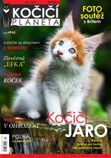 E-magazín Kočičí planeta 2/2019 - Czech Press Group Koktejl