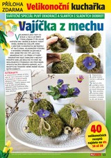 E-magazín Příloha AHA! pro ženy - 115/2019 - CZECH NEWS CENTER a. s.