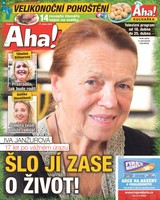 E-magazín Příloha AHA Tv - 17.4.2019 - CZECH NEWS CENTER a. s.