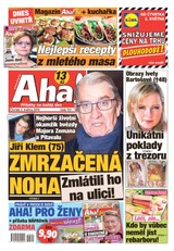 E-magazín AHA! - 2.5.2019 - CZECH NEWS CENTER a. s.