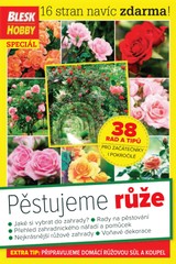 E-magazín Příloha Blesk Hobby - 05/2019 - CZECH NEWS CENTER a. s.