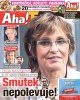 E-magazín AHA! Tv - 23.5.2019 - CZECH NEWS CENTER a. s.