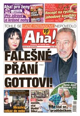 E-magazín AHA! - 15.6.2019 - CZECH NEWS CENTER a. s.