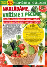 E-magazín Příloha AHA! pro ženy - 26/2019 - CZECH NEWS CENTER a. s.