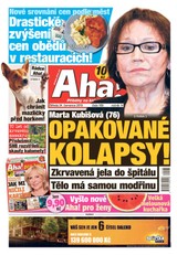 E-magazín AHA! - 24.7.2019 - CZECH NEWS CENTER a. s.