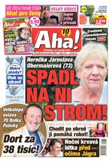 E-magazín AHA! - 29.7.2019 - CZECH NEWS CENTER a. s.
