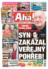 E-magazín AHA! - 30.7.2019 - CZECH NEWS CENTER a. s.