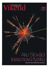 E-magazín SME Víkend 11/1/2010 - Petit Press, a.s. 