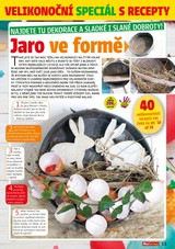 E-magazín Příloha AHA! pro ženy - 14/2020 - CZECH NEWS CENTER a. s.