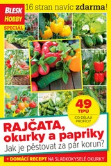 E-magazín Příloha Blesk Hobby - 04/2020 - CZECH NEWS CENTER a. s.