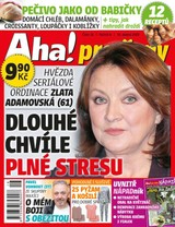 E-magazín AHA! pro ženy - 16/2020 - CZECH NEWS CENTER a. s.