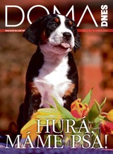 E-magazín DOMA DNES - 22.4.2020 - MAFRA, a.s.