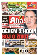 E-magazín AHA! - 29.4.2020 - CZECH NEWS CENTER a. s.