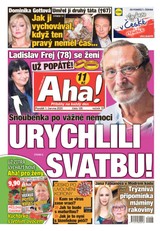 E-magazín AHA! - 1.6.2020 - CZECH NEWS CENTER a. s.