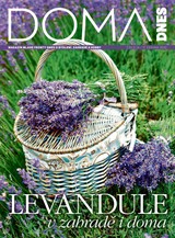 E-magazín DOMA DNES - 17.6.2020 - MAFRA, a.s.