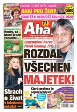 E-magazín AHA! - 30.6.2020 - CZECH NEWS CENTER a. s.