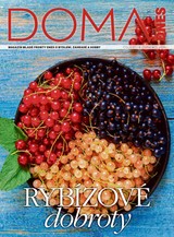 E-magazín DOMA DNES - 8.7.2020 - MAFRA, a.s.