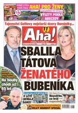 E-magazín AHA! - 14.7.2020 - CZECH NEWS CENTER a. s.