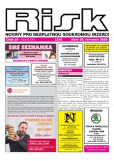 E-magazín Risk 29/2020 - Risk