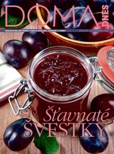 E-magazín DOMA DNES - 29.7.2020 - MAFRA, a.s.