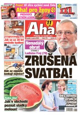 E-magazín AHA! - 3.8.2020 - CZECH NEWS CENTER a. s.