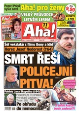 E-magazín AHA! - 4.8.2020 - CZECH NEWS CENTER a. s.