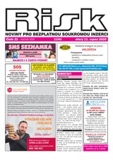 E-magazín Risk 31/2020 - Risk