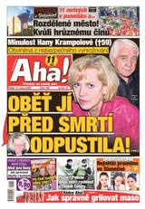 E-magazín AHA! - 14.8.2020 - CZECH NEWS CENTER a. s.