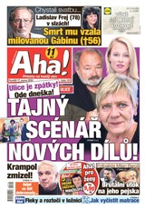 E-magazín AHA! - 17.8.2020 - CZECH NEWS CENTER a. s.