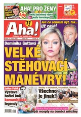 E-magazín AHA! - 21.8.2020 - CZECH NEWS CENTER a. s.