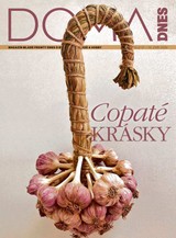 E-magazín DOMA DNES - 16.9.2020 - MAFRA, a.s.