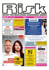E-magazín Risk 38/2020 - Risk