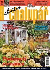E-magazín Chatař chalupář 11-2020 - Časopisy pro volný čas s. r. o.