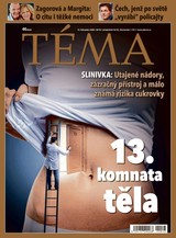 E-magazín TÉMA DNES - 13.11.2020 - MAFRA, a.s.