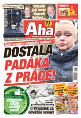 E-magazín AHA! - 13.11.2020 - CZECH NEWS CENTER a. s.