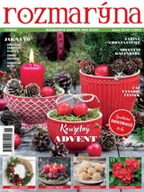 E-magazín Rozmarýna 11-2020 - Extra Publishing, s. r. o.