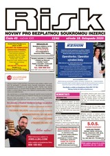 E-magazín Risk 45/2020 - Risk