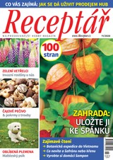 E-magazín Receptář 11/2020 - VLTAVA LABE MEDIA a.s.