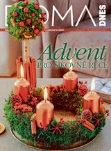 E-magazín DOMA DNES - 25.11.2020 - MAFRA, a.s.