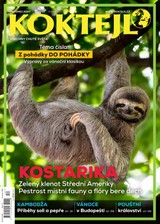 E-magazín Koktejl 12/2020 - Czech Press Group Koktejl
