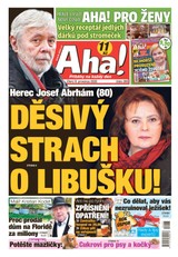 E-magazín AHA! - 8.12.2020 - CZECH NEWS CENTER a. s.