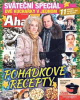 E-magazín AHA! Tv - 17.12.2020 - CZECH NEWS CENTER a. s.