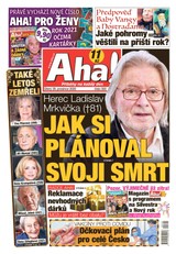 E-magazín AHA! - 29.12.2020 - CZECH NEWS CENTER a. s.